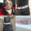 Bling Puppy Dog Collars Personalized Small Dogs Chihuahua Collar Custom Necklace Free Name Charms Pet Accessories 220610