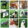 Abbigliamento per cani Pet Pannolini Pantaloni fisiologici Sanitari Lavabili Mutandine femminili Molestie Pantaloncini Biancheria intima Slip Per cani Gatti VestitiCane