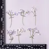 Decoratieve bloemen kransen phlox op stengels diy handgemaakt materiaal echt gedroogd 1 lot/120pcs groothandel gratis zendingdecoratief