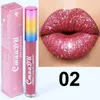 Lipgloss Metal Gillter Pearlescent Diamond Lip Gloss عارية حلوى الشفاه Lips Lips مرطب للوزارة المعادن