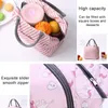 Thermal Insulated Bag Lunch Box Lunch Bags For Women Portable Fridge Bag Tote Cooler Handbags Kawaii Food Bag for Work