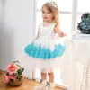 Rainbow Chiffon Little Girl Pageant Dresses 2022 Pink Girls Prom Gowns Zipper Bow Back Sleeveless Lace Tutu Long Kids Formal Party Birthday Princess Wear