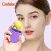 Capsule Ice Roller Face Massager Cube Tray återanvändbar silikon ansiktskonturering av kulskötsel Makeup Skönhet Lyft konturer också5805781