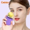 Capsule rouleau à glace masseur pour le visage Cube Plateau Réutilisable Silicone Facial Contouring Ball Soins de la peau Maquillage Beauté Lifting Contouring Tool