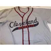 Xflsp GlaA3740 Maglia da baseball personalizzata Josh Gibson Homestead Greys Negro League Nuovo 20 punti cuciti Qualsiasi nome e numero