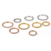 Hoop & Huggie 1PC 100% Stainless Steel Cz Cartilage Earring Hinged Segment Clicker Ring Nose Septum Jewelry Daith Piercing EarringsHoop Moni