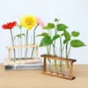 Wooden Frame Hydroponic Container Glass Test Tube Vase Hydroponic Green Radish Dried Flower Plant Flower Home Decoration 220423