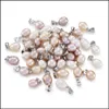30 st Mixcolors Drop Natural Freshwater Pearl Pendants med mässingsresultat 15 ~ 16.5x8 ~ 9mm Leverans 2021 Konsthantverk Gåvor Hem Garden TXL