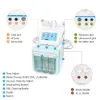 Hrydro Facial Dermabrasion Skin Care Machine 6 In1 Face Clanesing Cold Hammer Skin Scrubberニキビ排出除去Elitzia Etas16