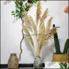 Decorative Flowers Wreaths 55-60Cm Dried Flower Natural Reeds Big Pampas Grass Ornamental Wedding Shop Decoration Ornament Home Drop Deliv