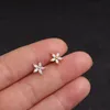 Stud 1 Paar 1,2 mm Edelstahl ungewöhnliche Piercing Liebe Herz Ohrringe für Frauen Schmuck Mond Stern Kreuz Zirkon Ohr ManschetteStud Moni22