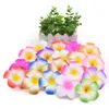 زهور الزهور أكاليل 30pcs 5-9cm بلومريا الاصطناعية هاواي PE Foam Forangipani Flower DIY WETTHERDRESS PARTY