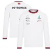 Formula Heren T-shirts 2023 F1 Revers Korte mouwen Top Nieuwe Racing T-shirt Dezelfde Stijl Customiz