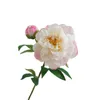 En falsk blomma lång stamfjäder peony (2 huvuden / bit) 27 "längd simulering phoenix peonia för bröllop hem dekorativa konstgjorda blommor