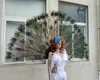 Party Decoration High Quality Natural Feather Angel Wing Wedding Pography Creative Large Props in Studio Shoot Accessories Party