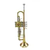 Popular grade Cupronickel turning pipe gold brass bell trumpet