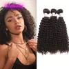 Brasiliansk 100% mänskligt hår peruanska indiska malaysiska jungfruliga hår wefts kinky curly tre buntar 3 st 10-30 tum yirubeauty