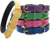 Gold Pin Buckle Dog Collars with Adjustable Buckles Fashion Leather Dogs Collars Neck Decoration Pet Supplies accessories