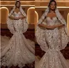 Luxury Lace Applique Mermaid Wedding Dresses 2022 Sweetheart Illusion Zipper Back Sweep Train Brud Dress Vestido de Noiva B0525N23