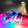 piscando luzes de segurança para cães