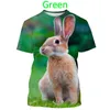 Rcvi Men's T-shirts Mens Fashion Easter t Shirt Men/women 3d Printed Short Sleeve Harajuku Style Tshirt Streetwear Summer Tops Plus Size