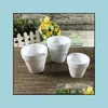 Planters Pots Garden levererar uteplats Lawn Home Mini Terracotta Pot For Planter Cactus Flower Succent Nursery Pad11924 efter Sea Drop Delivery