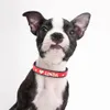 Dog Collar Leashes Personlig Små Cat Collar DIY Rhinestone Bling Charm Djur Anpassad Hundar Namn för Medium Tillbehör293k