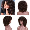 Nnzes 14inches Afro Kinky Curly Wig Ombre Black Gray with Bangs Longs Synthetic S for Women 220707