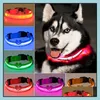 Neue Mode Led Nylon Hundehalsband Katze Harness Blinklicht Up Nacht Sicherheit Haustier Halsbänder Mti Farbe Xs-Xl Größe Weihnachten Drop Lieferung 2021
