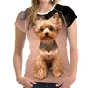 メンズTシャツ夏のファッションかわいい動物犬3D印刷ガール/女性用Tシャツoネックショートスリーブ特大のTシャツ男性COLTONG TOP