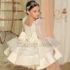 Whole Flower Girl Dresses Sequin Princess Dress Bow Long Sleeve CostumePageant Dress Kids Birthday Party Gowns321I