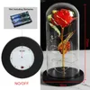 Couronnes de fleurs décoratives clignotant coloré LED nuit avec base noire Galaxy Rose dans le dôme en verre de fleur de flacon pour le cadeau de la Saint-Valentin