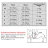 犬の襟のリーシュハーネスナイロンプルベスト柔らかい調整可能な犬用柔らかい調整可能な安全性小さなランニングトレーニングチェストストラップアクセサリー