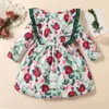 Girl's Dresses Infant Baby Girl Spring Fall Outfit Flower Print Long Sleeve Ruffle Party Princess Dress Kid ClothesGirl's