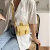 2021 Ny mångsidig Mini Womens Crossbody Bag Fashion Messenger Bag Small Flap Bag Magnet Puckle Solid Stone Shoulder Bags