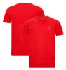 F1 T-shirt Formula 1 Team Logo Short Sleeve Summer Men's Breathable Fashion Polo Shirt Racing Team Uniform Tops Motocross Jersey