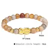 Bracelets porte-bonheur Agates vertes perles Bracelet Feng Shui Pixiu pour femmes hommes rayé multicolore Jades Bracelet richesse bonne chance