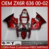 Injection Body For KAWASAKI NINJA ZX 6R 600 CC 6 R ZX636 ZX-600 00-02 Bodywork 133No.15 ZX 636 600CC ZX-636 ZX-6R 2000 2001 2002 ZX600 ZX6R 00 01 02 OEM Fairings glossy red blk