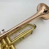 Strumento di tromba professionale di alta qualità per i principianti per suonare la presa inversa del fosforo in bronzo a goldna.