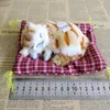 Objetos decorativos figurines simulação mini gato pano de pano de pano de pelúcia gatos de pelúcia crianças presentes de aniversário decoração criativa imitação boneca casa