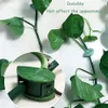 Planters Pots Plant Climbing Wall Fixture Clips Garden Vegetable Support Binding Clip Invisible Wall Vines Self-Adhesive