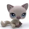 アニメマンガLPS猫レアーキュートおもちゃ立っている短い髪の猫オリジナル子猫ハスキー子犬犬動物古いボブルヘッド220923