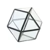 Bolsas de jóias bolsas de vidro transparente de vidro geométrico suculenta recipiente recipiente de mesa de mesa de mesa