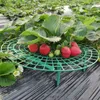 Plant Plastic Tools Strawberry Planting Circle Support Frame Agriculture Frame Gardening Vines Garden Supplies Fruit Tray Cage LX4705