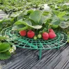 Växtplast Verktyg Strawberry Planting Circle Support Ram Jordbruk Ram Trädgårdsarbete Vines Garden Tillbehör Fruktbricka Bur LX4705