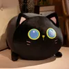 3550 cm schöne Cartoon Squishy Fatty Cats Plüschtier Kissen gefüllt weiche süße Tierkätzchen Appease Puppen für Kinder Freundin G4803713
