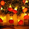 Strings Mushroom String Lights USB Battery Powered Warm White Garden Garland For Holiday Christmas Party Waterproof Fairy LightsLED LED