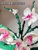 Moc Bouquet Orchid Block Flower Doxulents 화분에 빌딩 블록 10311 로맨틱 키트 어셈블리 건물 장난감 소녀 선물 220712에 적합합니다.