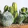 Fiori decorativi Ghirlande Simulazione Cactus Piante succulente realistiche Deserto di plastica artificiale per la decorazione del paesaggio desktop domestico Su