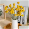 Flores decorativas grinaldas 20 pcs craspedia billy bola natural arranjo de bouqet em vaso preservado para decoração casamento casa cair